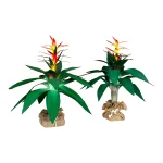 Pair Tropical Coastal Canvas Flame Bromeliads